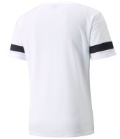 Puma teamRISE Performance Herren Shirt Sporttop...