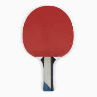 Butterfly Tischtennisschläger Timo Boll Platin...